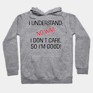 I Understand Hoodie